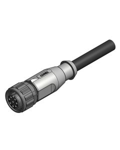 Kupplung axial • Anschlussleitung • M12x1 • 8-pol. • 2 m • 0,25 mm²