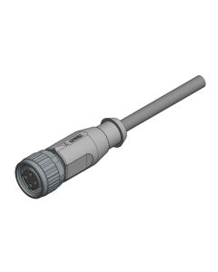 Kupplung axial • C-codiert • Anschlussleitung • M12x1 • 3-pol.+PE • 2 m • 0,34 mm² • PVC • Ungeschirmt
